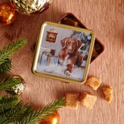 Promo 🎁 Stewart's Stewarts Festive Holiday Fudge Tin 100g 💯