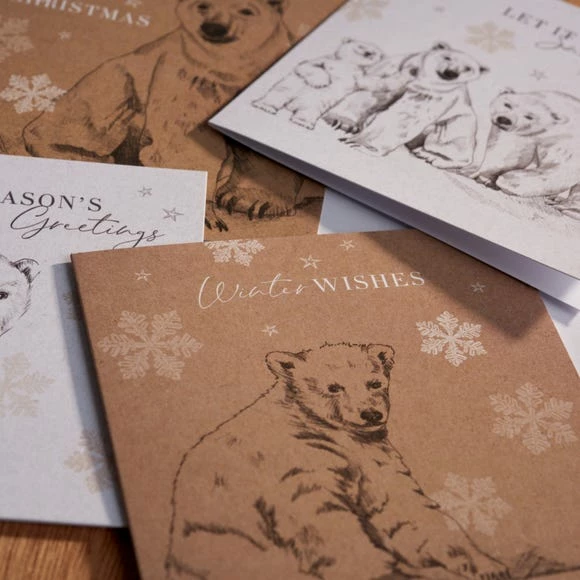 Hot Sale 👏 Dunelm Pack of 16 Traditional Cards ❤️ - Image 2