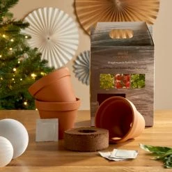 Top 10 👍 Dunelm Grow Your Own Italian Cooking Spices 😉