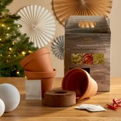 New 🥰 Dunelm Grow Your Own Indian Cooking Spices 🧨