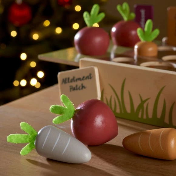 Flash Sale 🌟 Dunelm Wooden Grow Your Own Garden Set 😀 - Image 2
