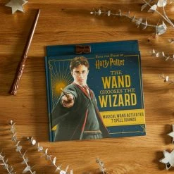 New 💯 Harry Potter Wand Chooses Wizard Book ⌛