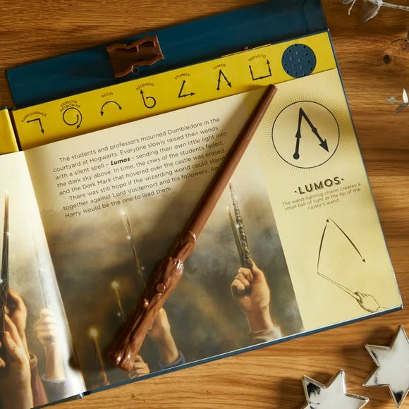 New 💯 Harry Potter Wand Chooses Wizard Book ⌛ - Image 2