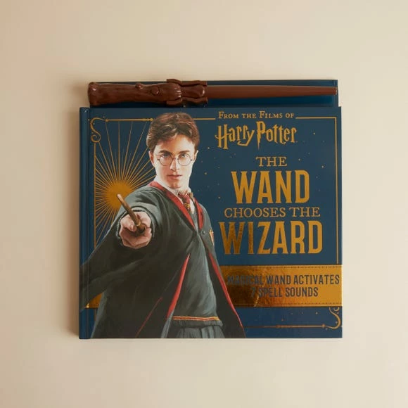 New 💯 Harry Potter Wand Chooses Wizard Book ⌛ - Image 3
