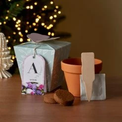 Hot Sale 😍 Dunelm Grow Your Own Monogram Seeds Kit A - Aster 🧨