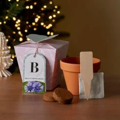 Wholesale 😉 Dunelm Grow Your Own Monogram Seeds Kit B - Blue Cornflower 🥰