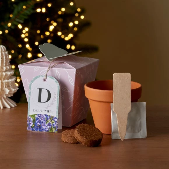 Cheap 🤩 Dunelm Grow Your Own Monogram Seeds Kit D - Delphinium ❤️