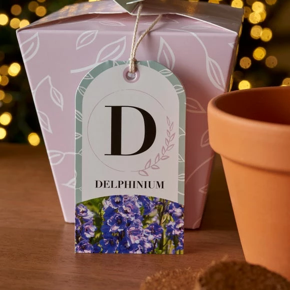 Cheap 🤩 Dunelm Grow Your Own Monogram Seeds Kit D - Delphinium ❤️ - Image 2