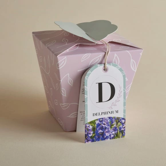 Cheap 🤩 Dunelm Grow Your Own Monogram Seeds Kit D - Delphinium ❤️ - Image 3