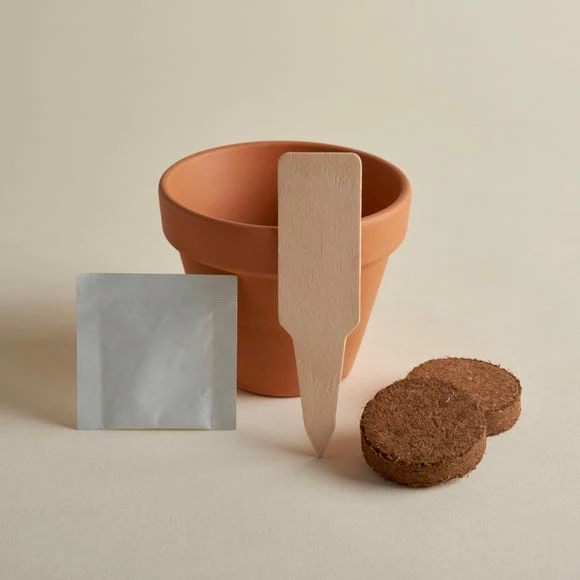 Cheap 🤩 Dunelm Grow Your Own Monogram Seeds Kit D - Delphinium ❤️ - Image 4