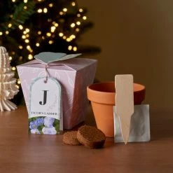 Best deal 👏 Dunelm Grow Your Own Monogram Seeds Kit J - Jacob's Ladder ❤️