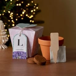 Brand new 🤩 Dunelm Grow Your Own Monogram Seeds Kit L - Lavender ⌛