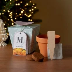 New ✔️ Dunelm Grow Your Own Monogram Seeds Kit M - Marigold ❤️
