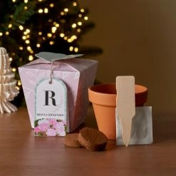 Brand new 🔥 Dunelm Grow Your Own Monogram Seeds Kit R - Rosa Chinensis ⌛