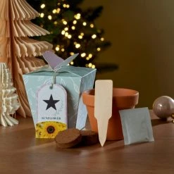 Best deal 💯 Dunelm Grow Your Own Monogram Seeds Kit Star- Sunflower 🥰