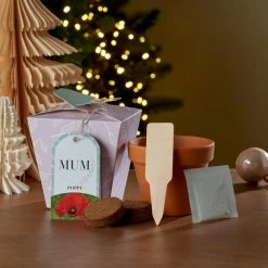 Best Pirce ✔️ Dunelm Grow Your Own Monogram Seeds Kit Mum- Poppy ✔️