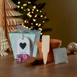 Outlet ✨ Dunelm Grow Your Own Monogram Seeds Kit Heart - Putunia ⌛