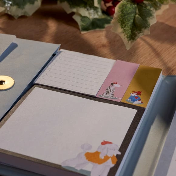 Discount 🎁 Dunelm 🐶 Dog Weekly Organiser 😉 - Image 2